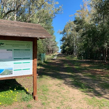 Villaggio Camping Uria Foce Varano Eksteriør billede